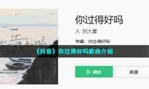 《抖音》你过得好吗歌曲介绍