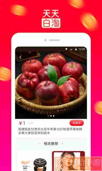 天天白淘