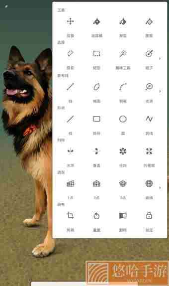 painter中文版