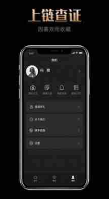 玛雅藏品