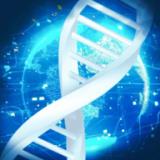 养鲲进化新物种无限DNA版