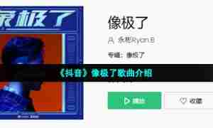 《抖音》像极了歌曲介绍