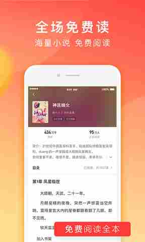 红果小说