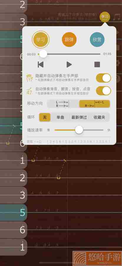 iGuzheng