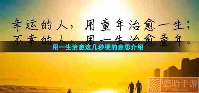 用一生治愈这几秒梗的意思介绍