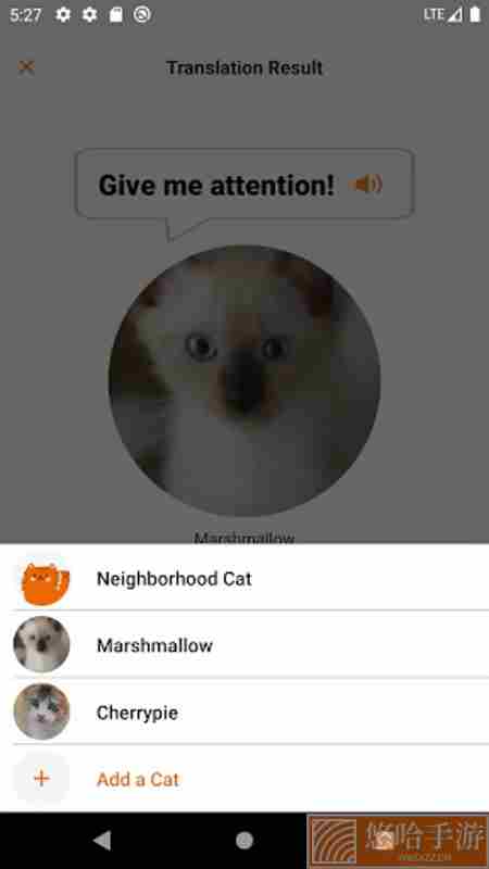 meowtalk喵说下载中文版