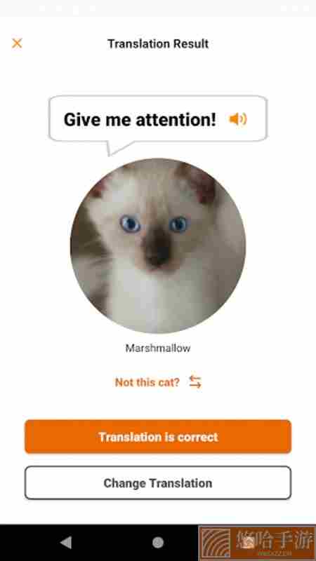 meowtalk喵说下载中文版