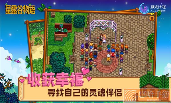 stardew valley
