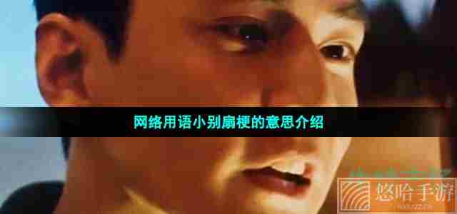 网络用语小别扇梗的意思介绍