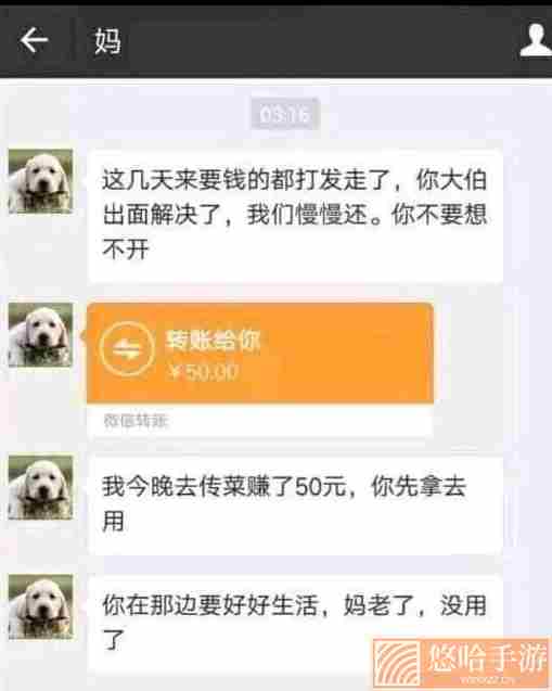 网络用语妈传菜梗的意思介绍