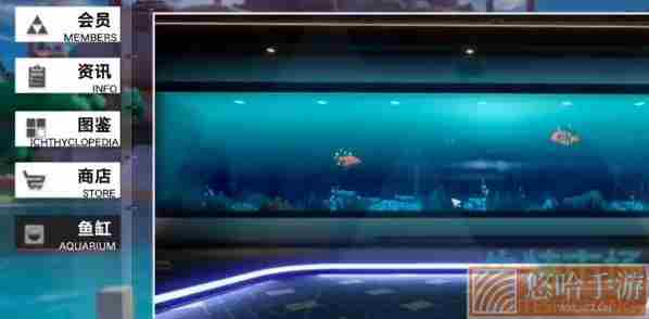 《幻塔》水族馆展示鱼方法