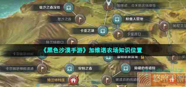 《黑色沙漠手游》加维诺农场知识位置