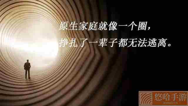 用一生治愈这几秒梗的意思介绍